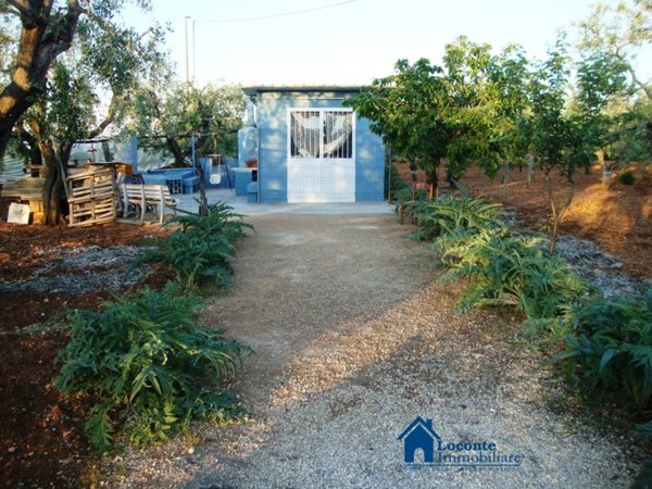 terreno agricolo in vendita a Capurso
