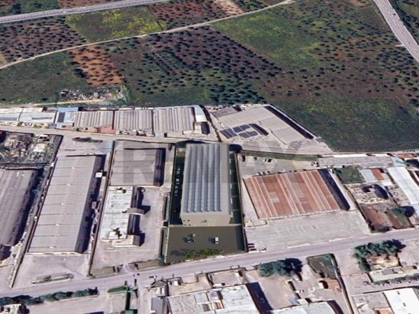 terreno agricolo in vendita a Capurso