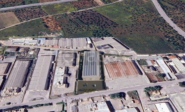 terreno agricolo in vendita a Capurso