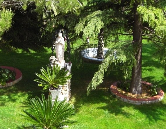 negozio in vendita a Casamassima