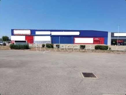 appartamento in vendita a Casamassima