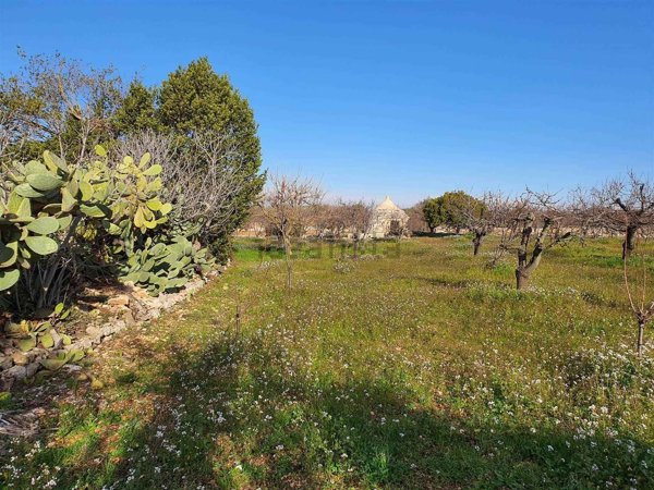 terreno agricolo in vendita a Casamassima