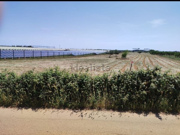 terreno agricolo in vendita a Casamassima