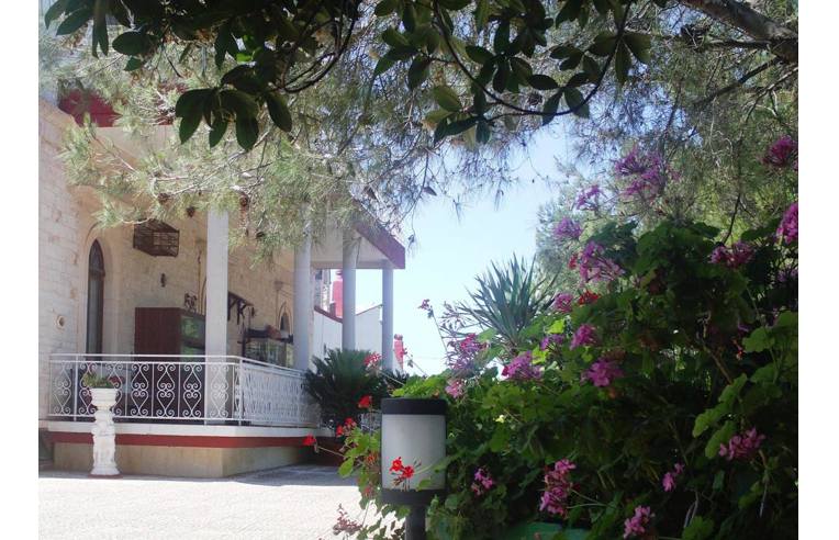 negozio in vendita a Casamassima