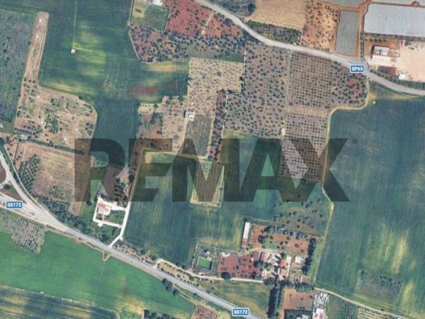 terreno agricolo in vendita a Casamassima