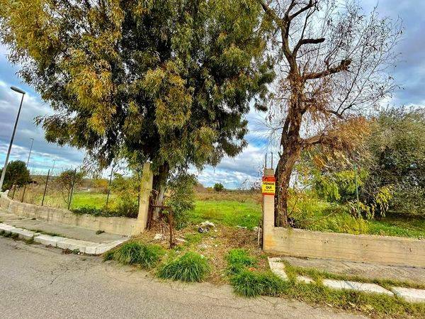 terreno agricolo in vendita a Cassano delle Murge