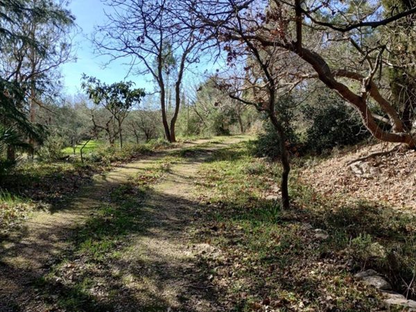 casa indipendente in vendita a Cassano delle Murge