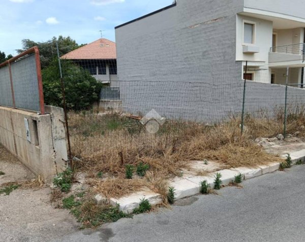 immagine annuncio 0 di 2