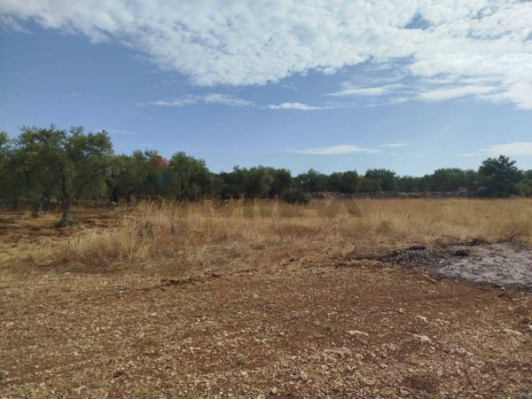 terreno agricolo in vendita a Cassano delle Murge
