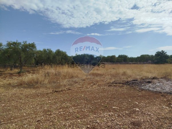 terreno agricolo in vendita a Cassano delle Murge