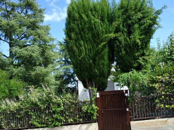 casa indipendente in vendita a Cassano delle Murge