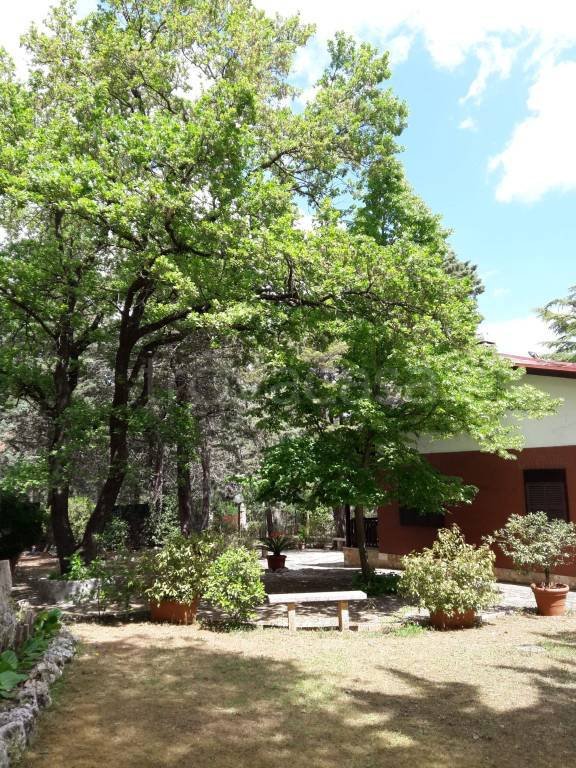 casa indipendente in vendita a Cassano delle Murge