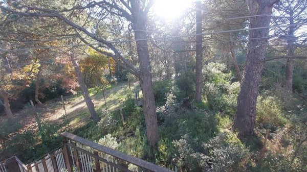 casa indipendente in vendita a Cassano delle Murge