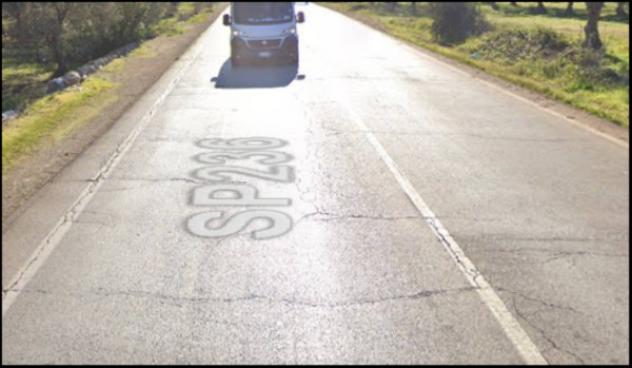 negozio in vendita a Cassano delle Murge