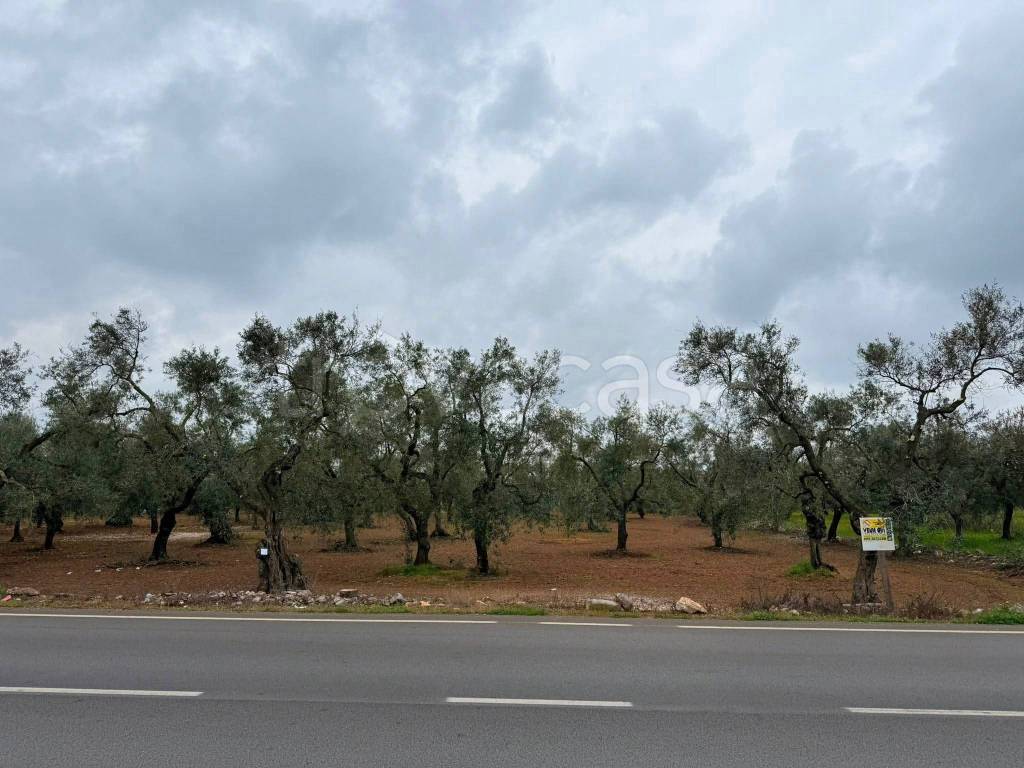 terreno agricolo in vendita a Cassano delle Murge