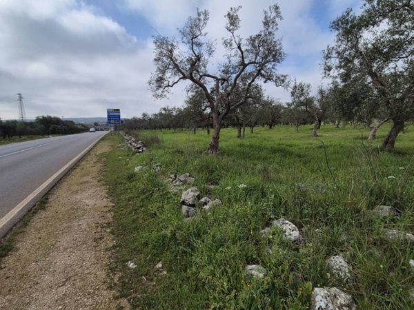 terreno agricolo in vendita a Cassano delle Murge