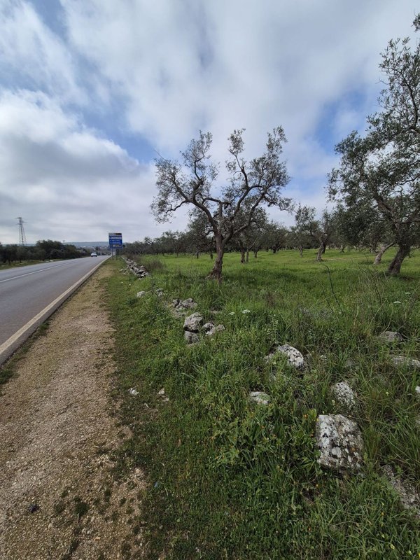 terreno agricolo in vendita a Cassano delle Murge