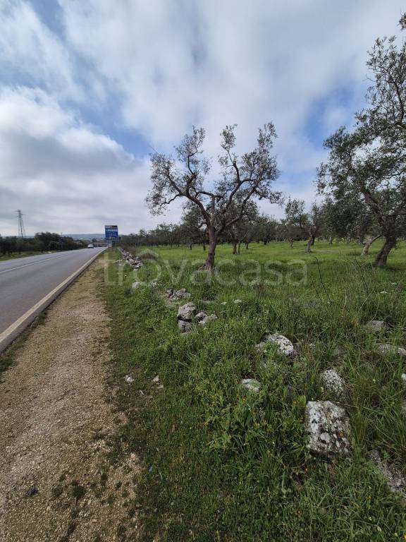 terreno agricolo in vendita a Cassano delle Murge