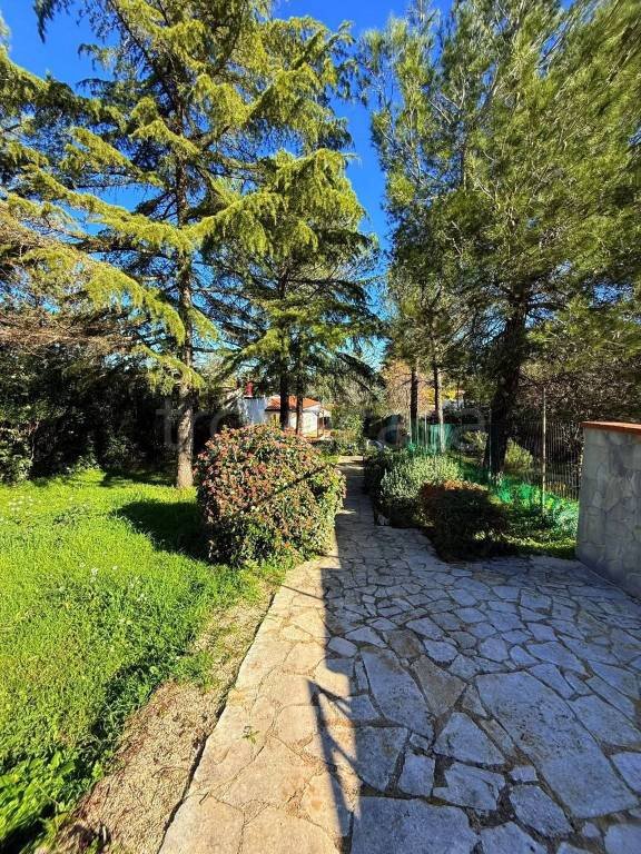 casa indipendente in vendita a Cassano delle Murge