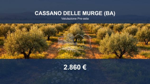 terreno agricolo in vendita a Cassano delle Murge