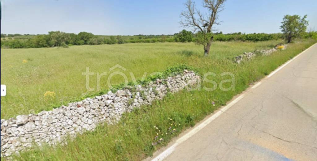 terreno agricolo in vendita a Cassano delle Murge