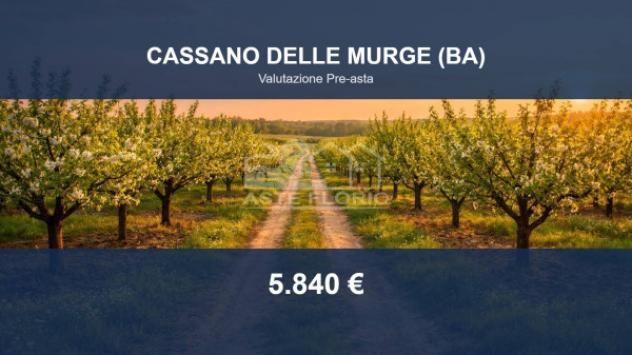 terreno agricolo in vendita a Cassano delle Murge