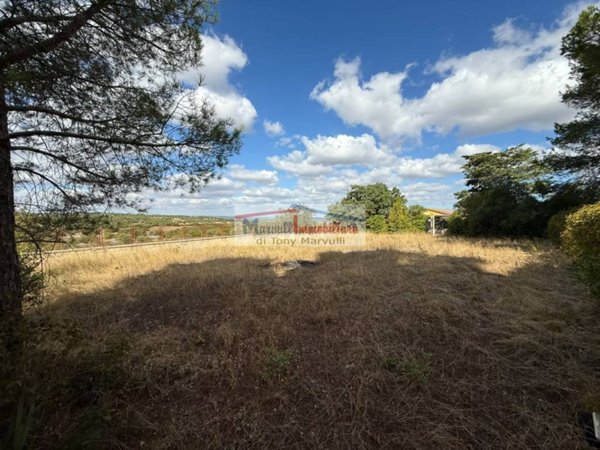 terreno agricolo in vendita a Cassano delle Murge
