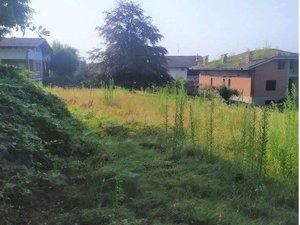terreno in vendita a Cassano delle Murge