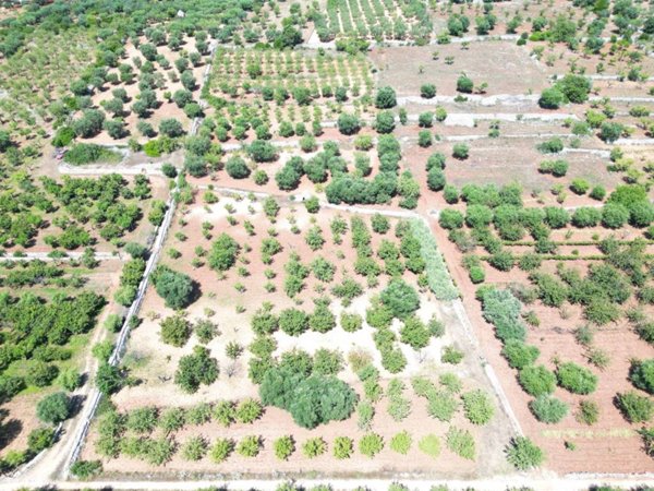 terreno agricolo in vendita a Castellana Grotte
