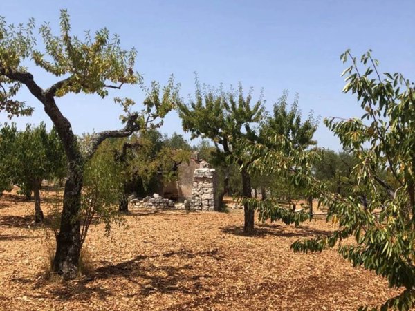 casa indipendente in vendita a Castellana Grotte