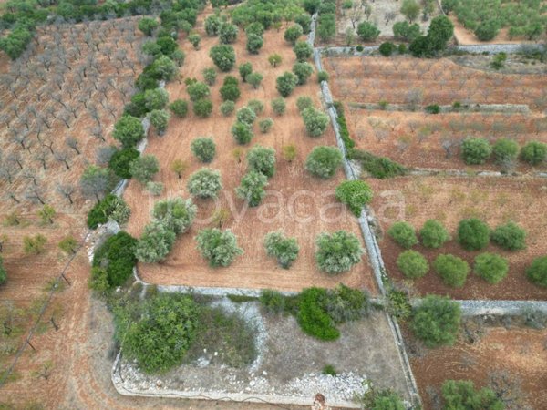 terreno agricolo in vendita a Castellana Grotte