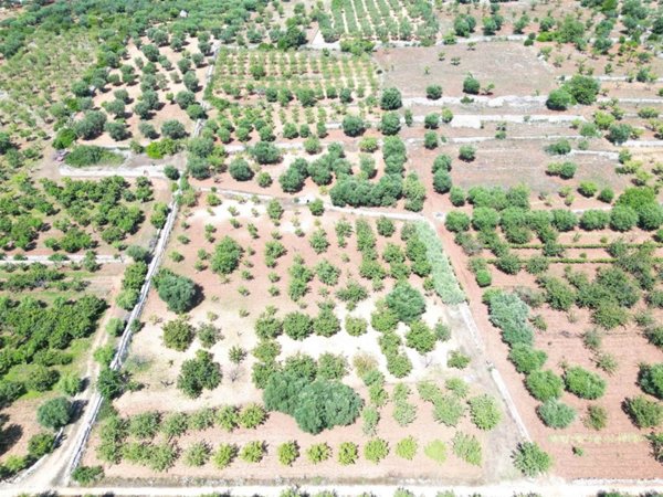 terreno agricolo in vendita a Castellana Grotte