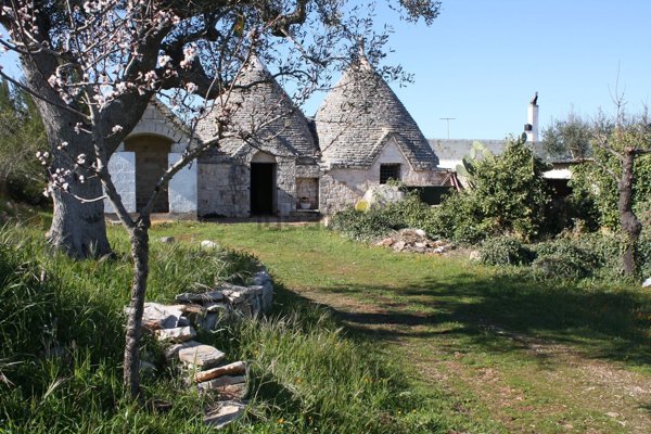 esavano in vendita a Castellana Grotte