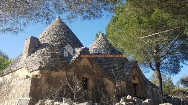 appartamento in vendita a Castellana Grotte