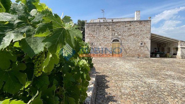 casa indipendente in vendita a Castellana Grotte