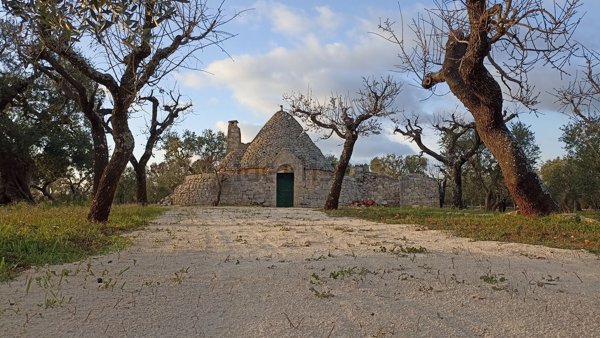 appartamento in vendita a Castellana Grotte