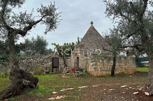 appartamento in vendita a Castellana Grotte
