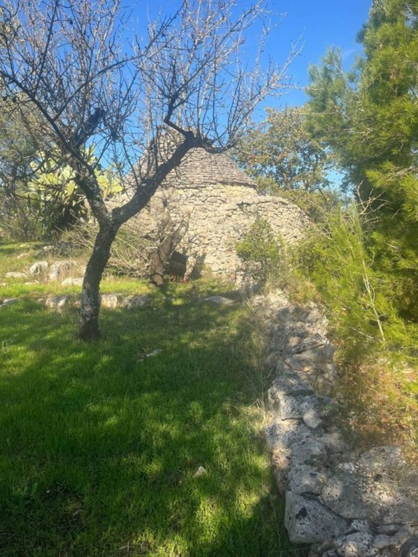 casa indipendente in vendita a Castellana Grotte