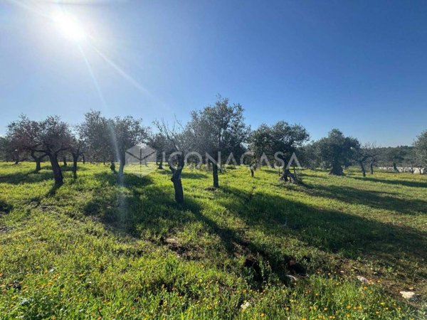 appartamento in vendita a Castellana Grotte
