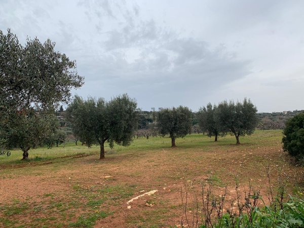 terreno agricolo in vendita a Castellana Grotte