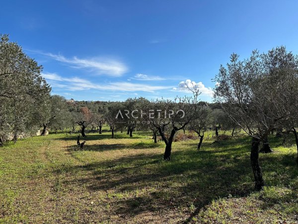 terreno agricolo in vendita a Castellana Grotte