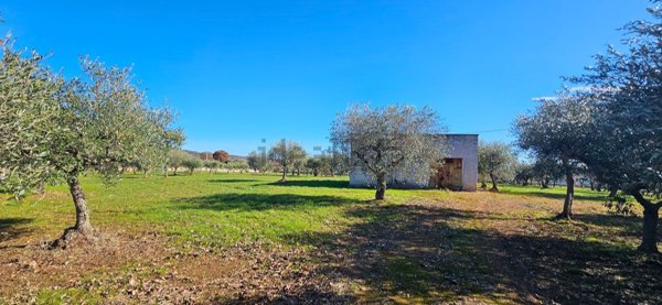 appartamento in vendita a Castellana Grotte