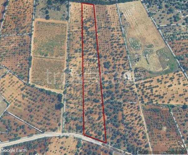 terreno agricolo in vendita a Castellana Grotte