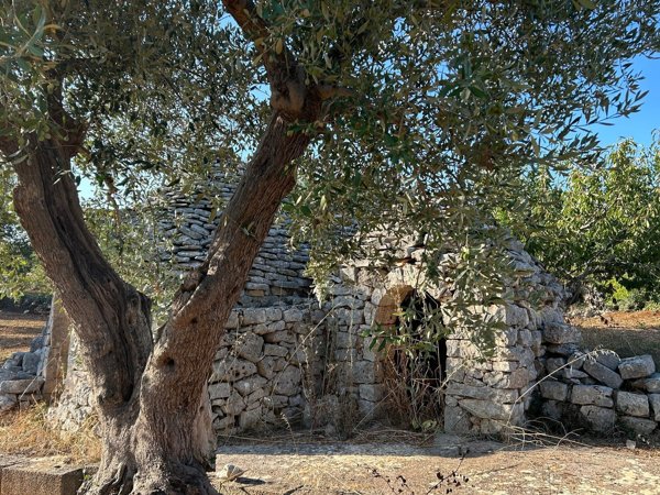 quadrivano in vendita a Castellana Grotte