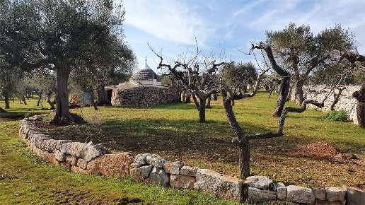 appartamento in vendita a Castellana Grotte