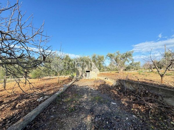 appartamento in vendita a Castellana Grotte