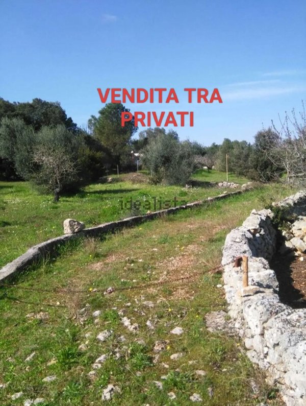 appartamento in vendita a Castellana Grotte