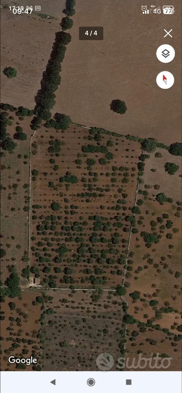 terreno agricolo in vendita a Castellana Grotte