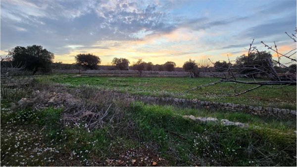terreno agricolo in vendita a Castellana Grotte