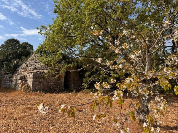 casa indipendente in vendita a Castellana Grotte